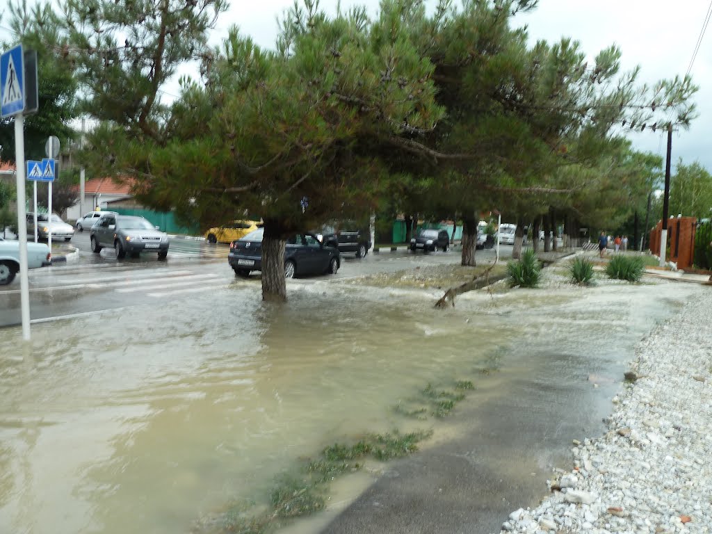 Вода на улицах после ливня 7 июля