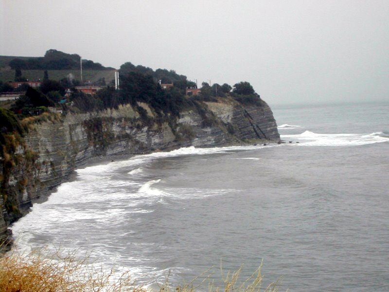 Surf/Прибой