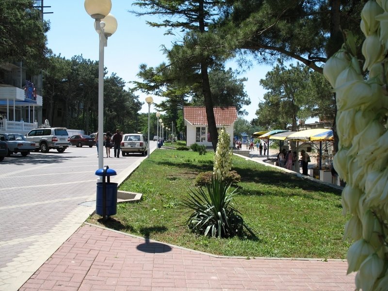 Геленджик, мыс Толстый