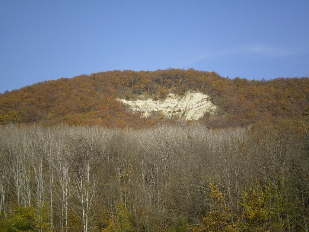 Белая латка
