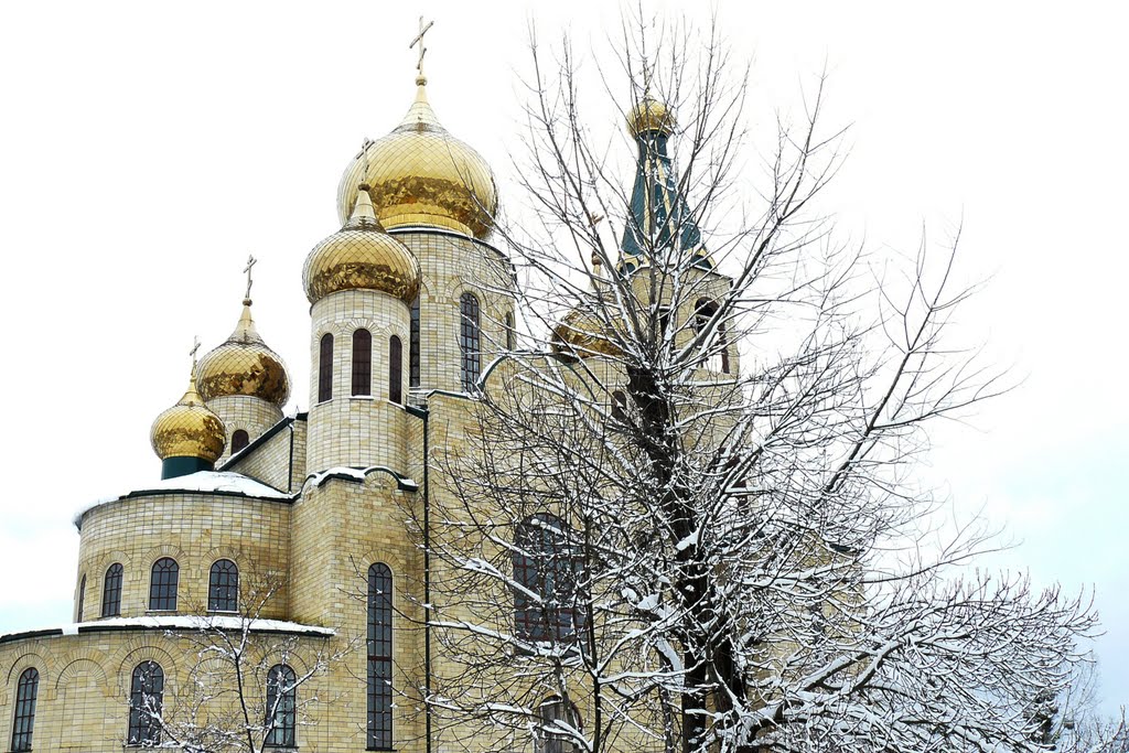 Свято-Троицкий храм