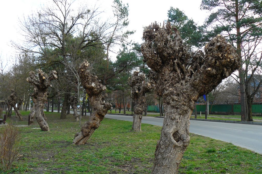 Улица Ленина