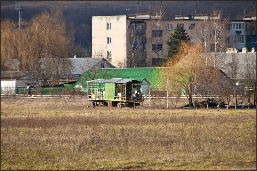 Горная пасека ... - Mining apiary ...