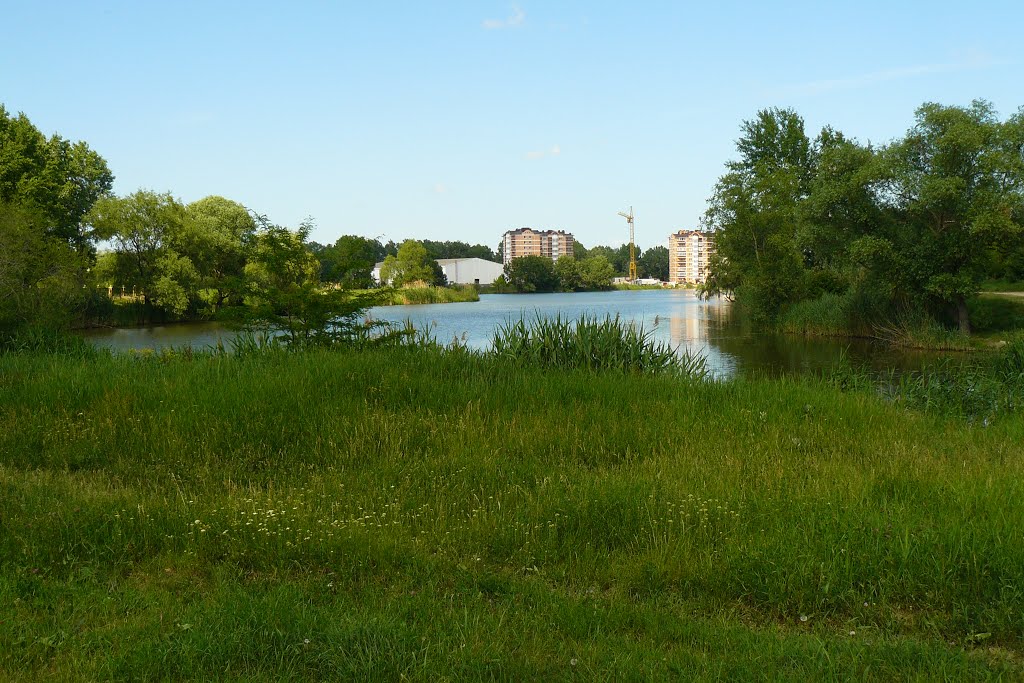 Городской парк