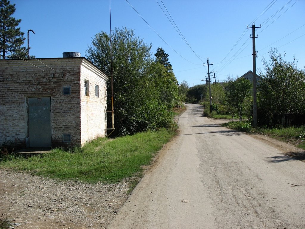 Streets of childhood