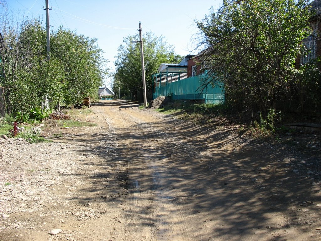 Parhomenko st.