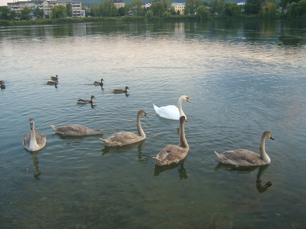 Krasnodar Krai, Russia