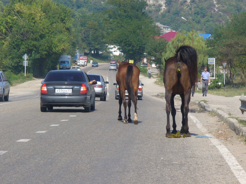Dzhubga