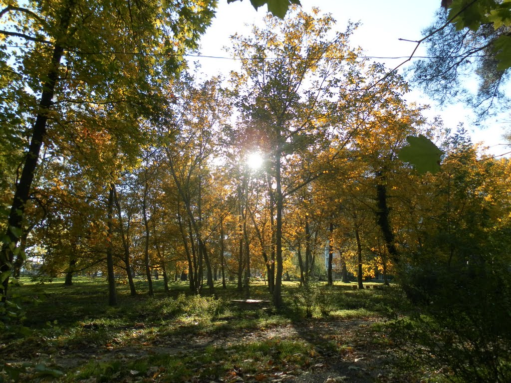 В тихом парке...