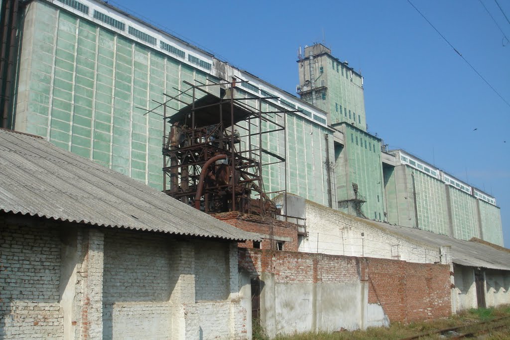 Элеватор Динской