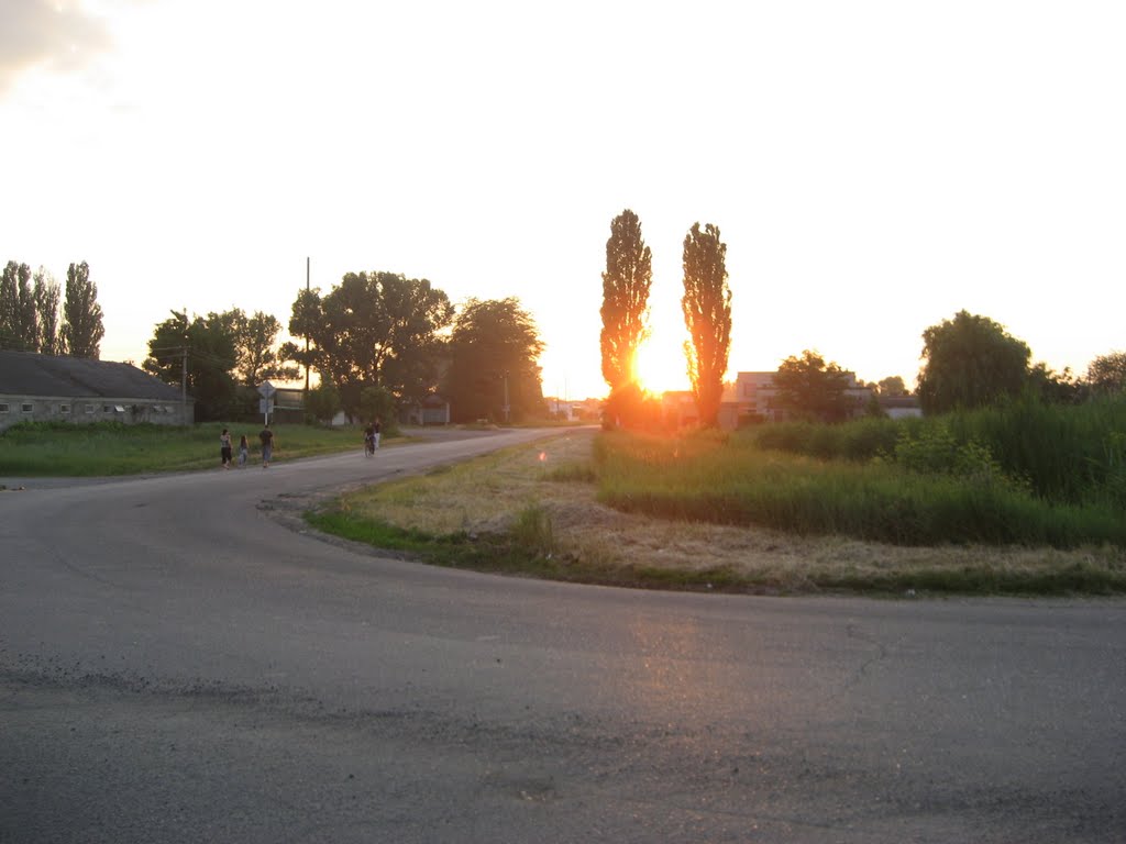 Солнце рулит