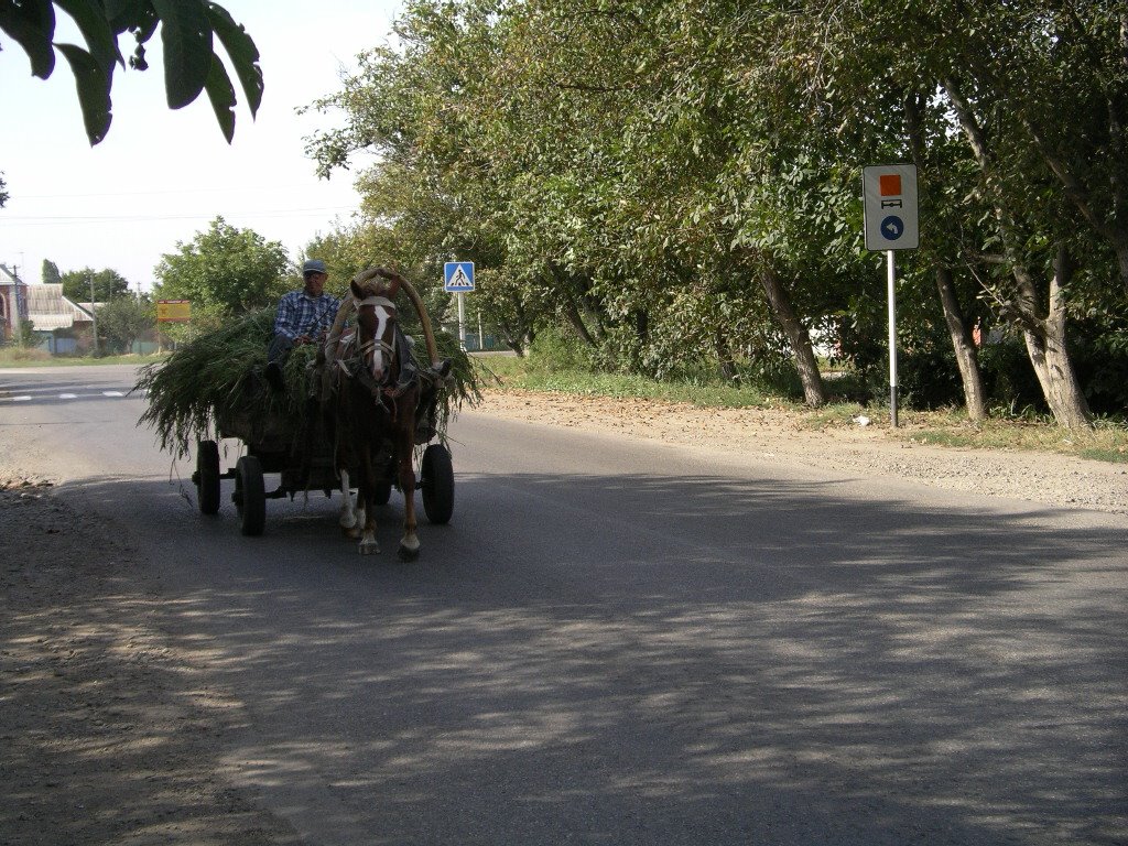Транспорт в Динской