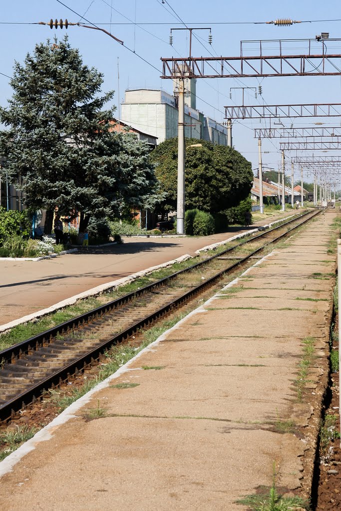 Белоглинская