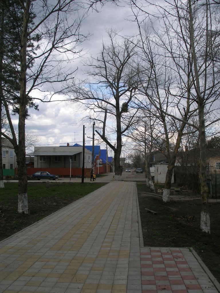 Парк 2011