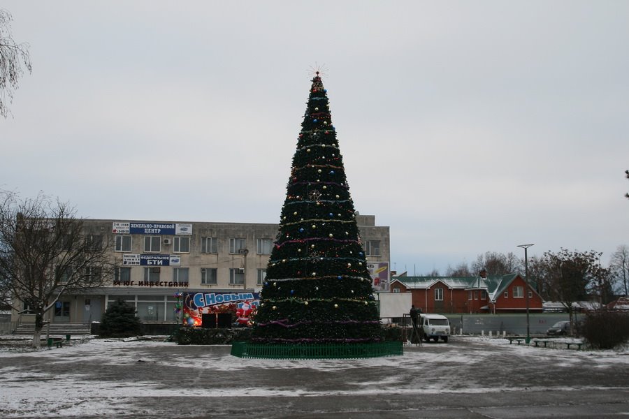 Центральная площадь. Новогодняя елка.