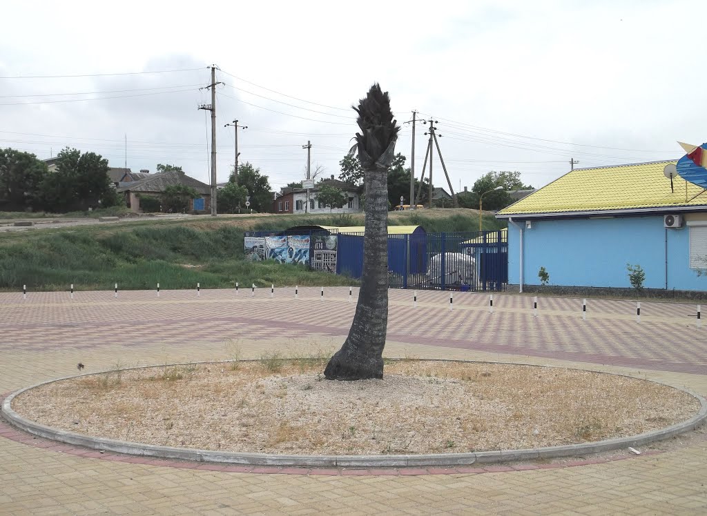 Пальма в Ейске / The palm