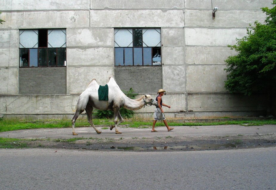Ейск