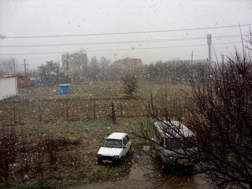 Из дома на Партизанской, 126