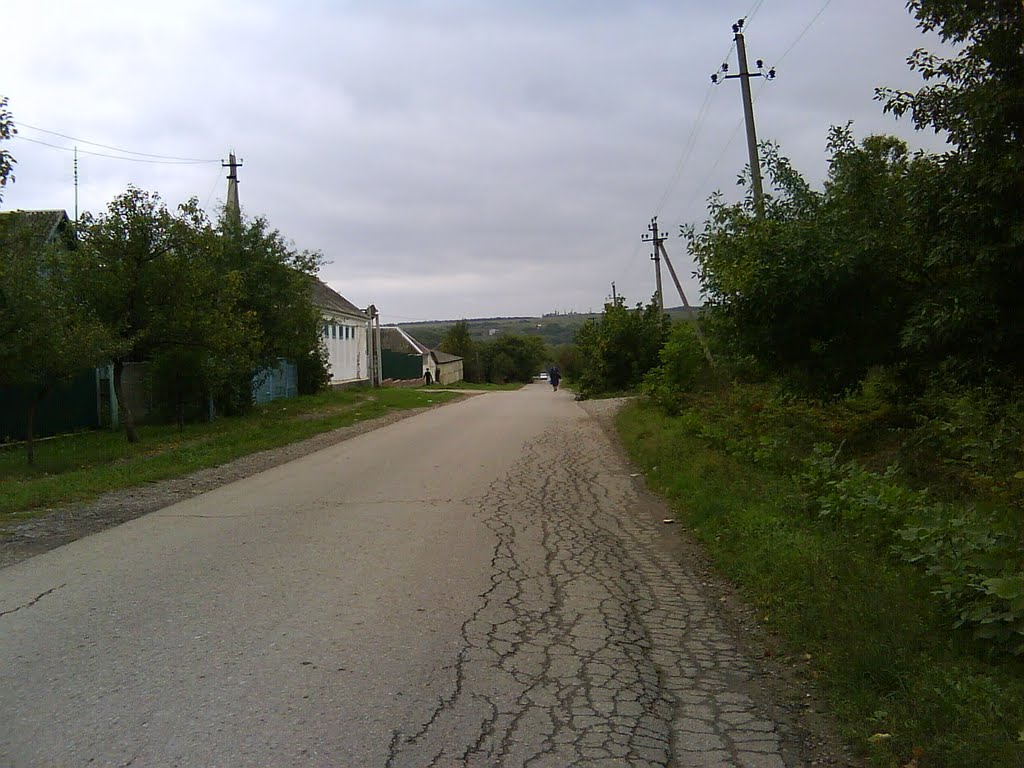 Улица Некрасова