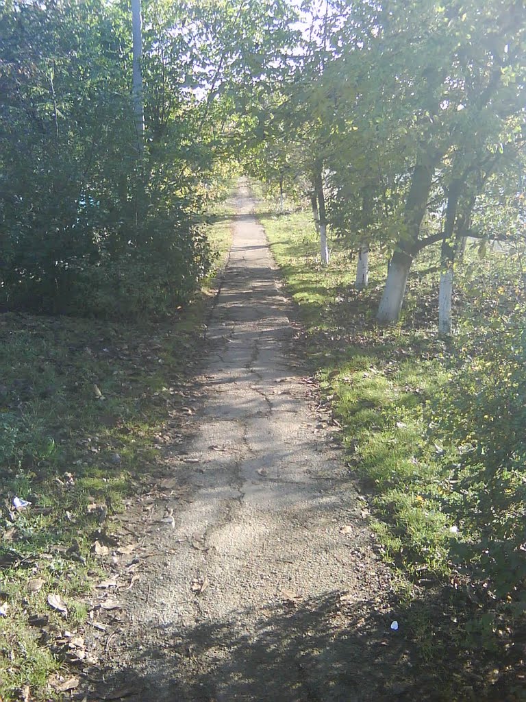 Старый асфальт по улице Мира