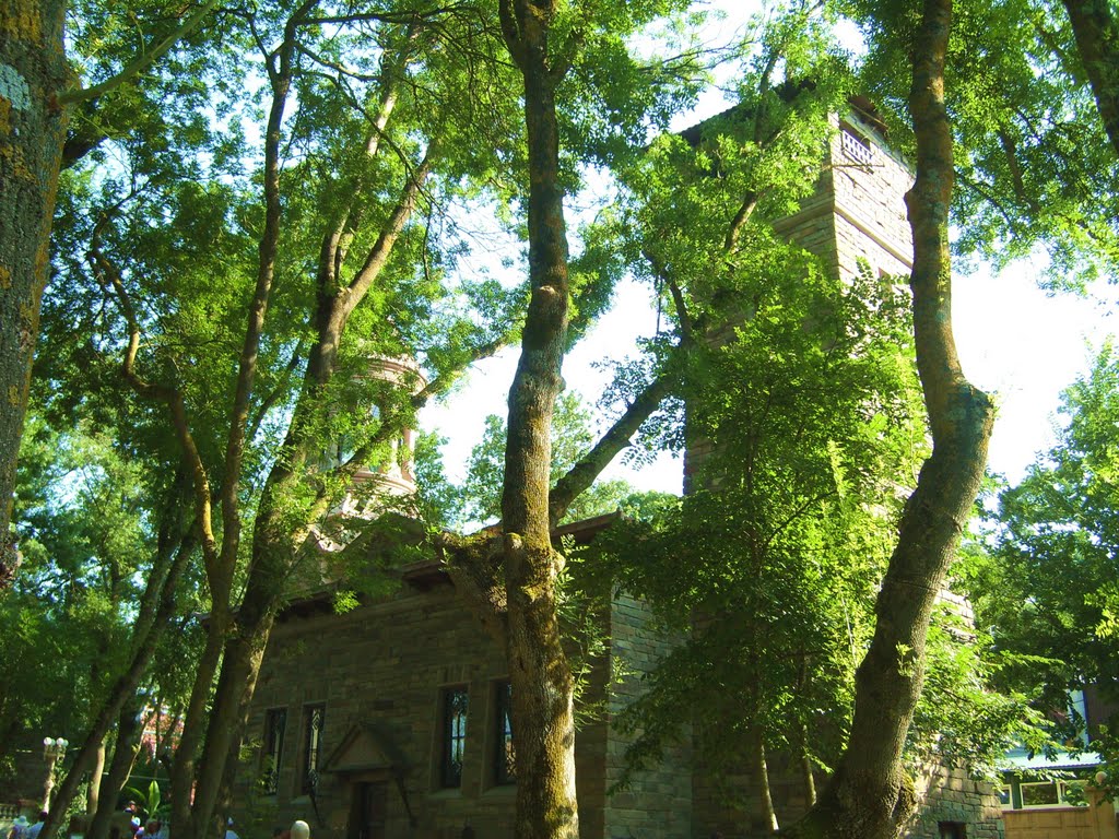 Castle in the Park
