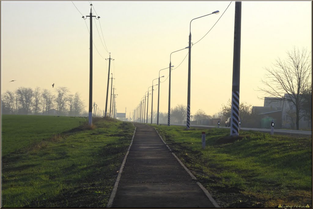 Дорожка в "Нью-Васюки"... - Track in "New-Vasyuki"...