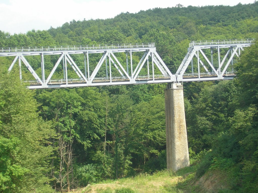 The bridge