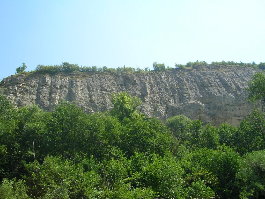 Caucasus Mountains