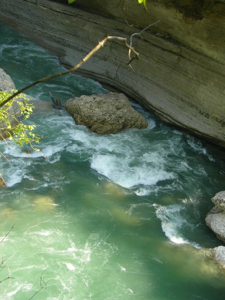 Canyon from the rock