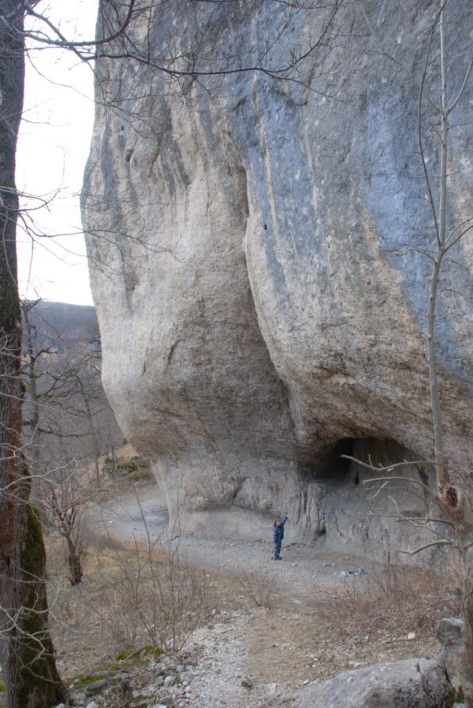 ass of Хаджох