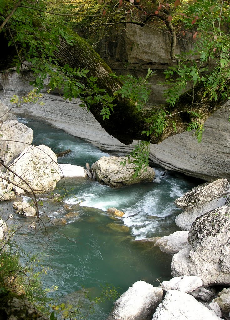 Abadzekhskaya