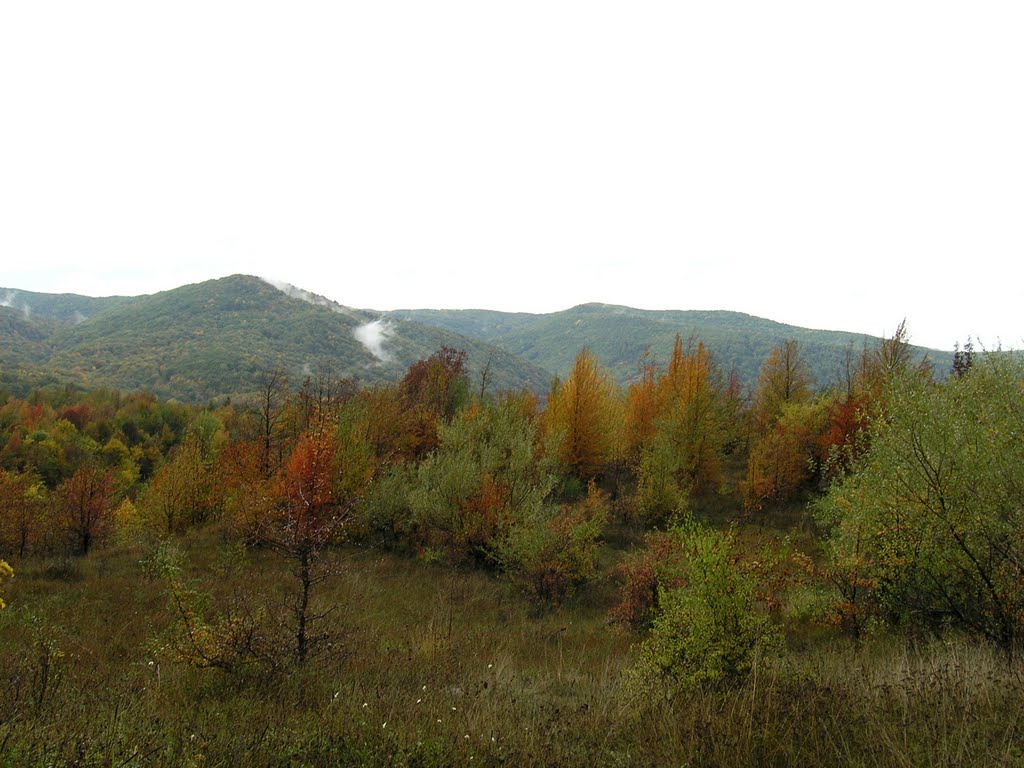 Mountains