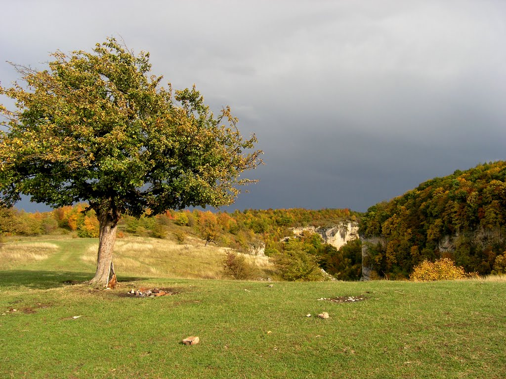После грозы (After thunder-storm)