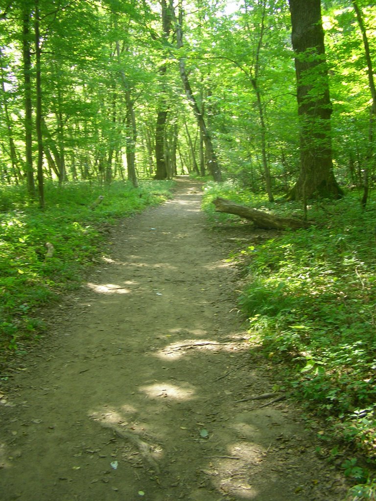 The Trail to Rufabgo