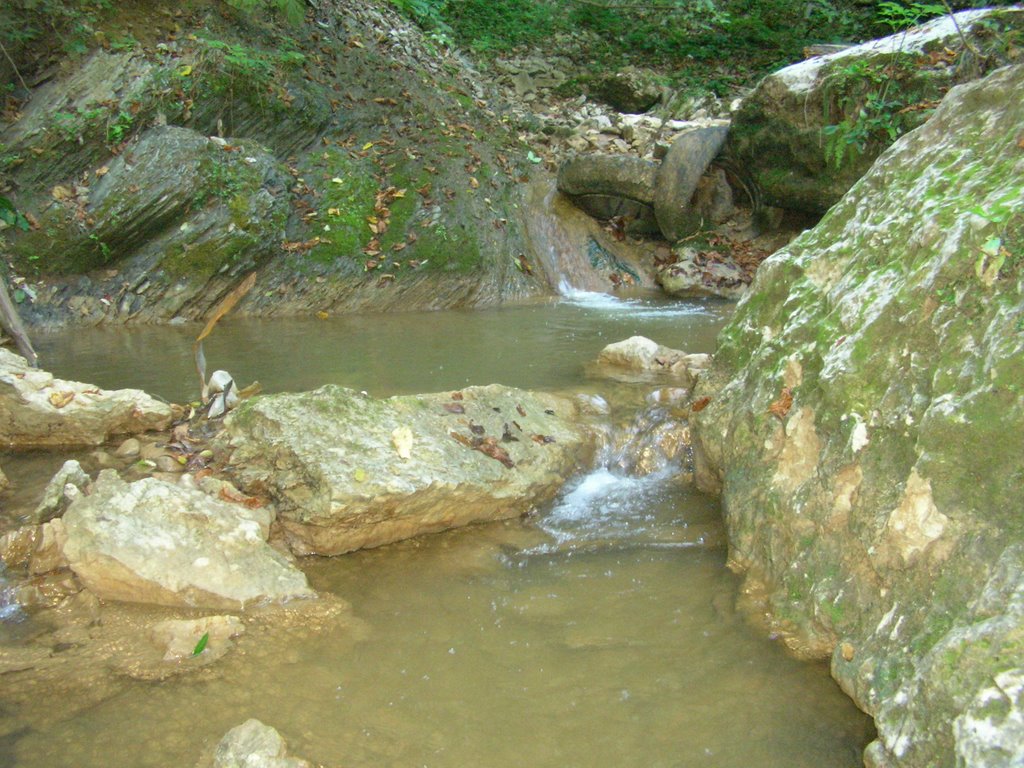 Among Stones