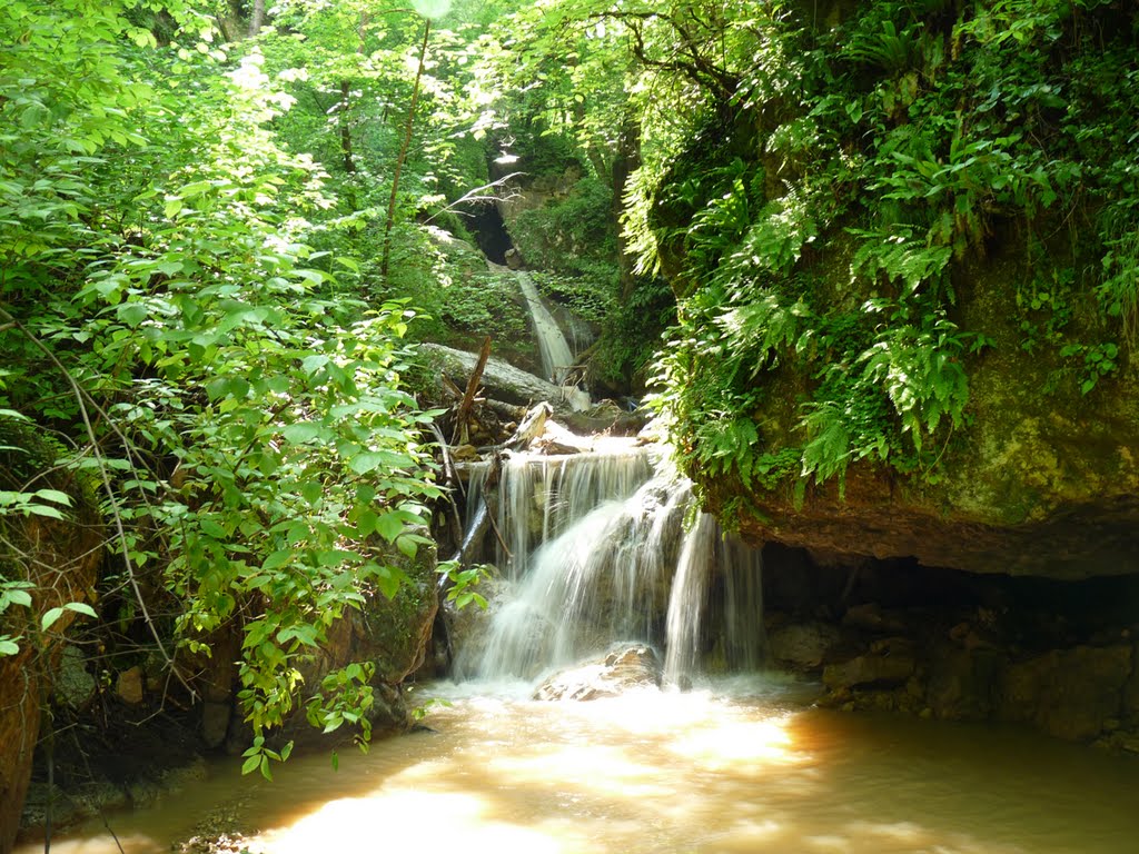 Лесной водопад.