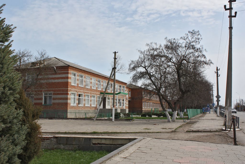 Каневская - школа-лицей №7 - 4.04.2010 г.