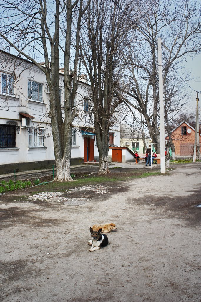 Каневская - дворик по улице Красной - 4.04.2010 г.