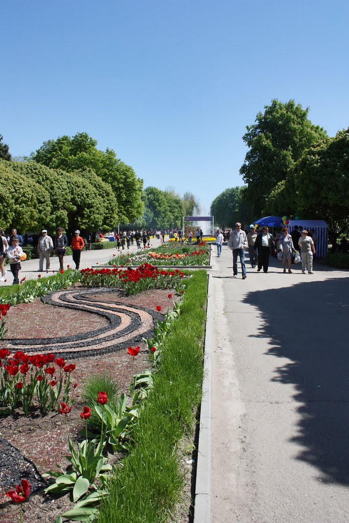 Каневская, центральный парк - 1.05.2010 г.