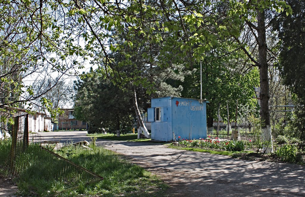 Каневская, "ремонт обуви" - 1.05.2010 г.