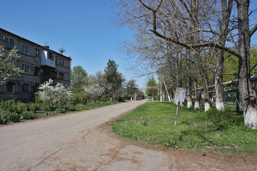 Каневская - улица Промысловая - 25.04.2010 г.