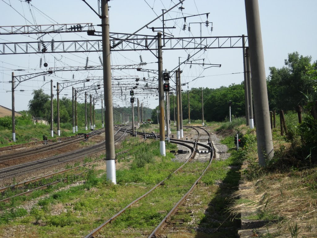 Четная горловина ст. Каневской.