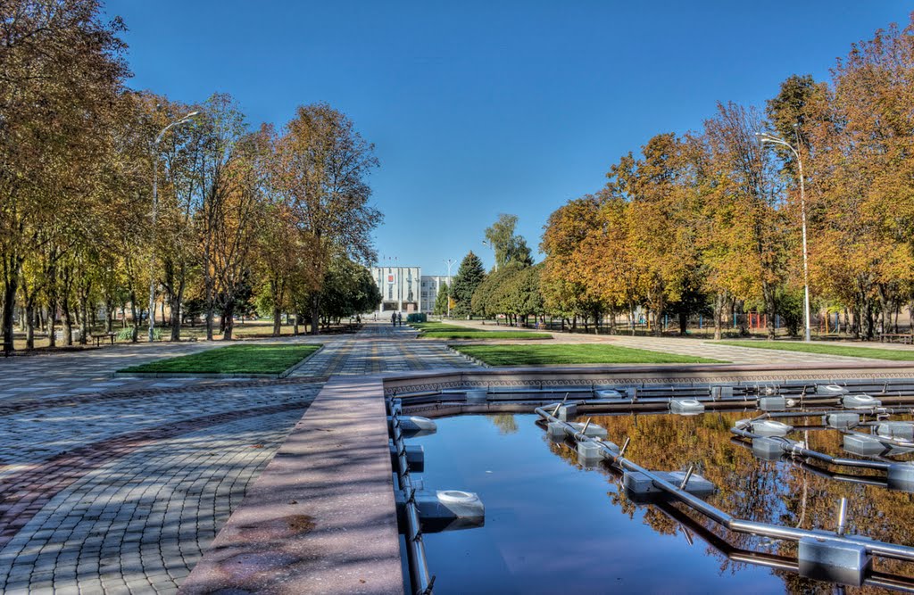 В осеннем парке в солнечный день (14.10.2010)