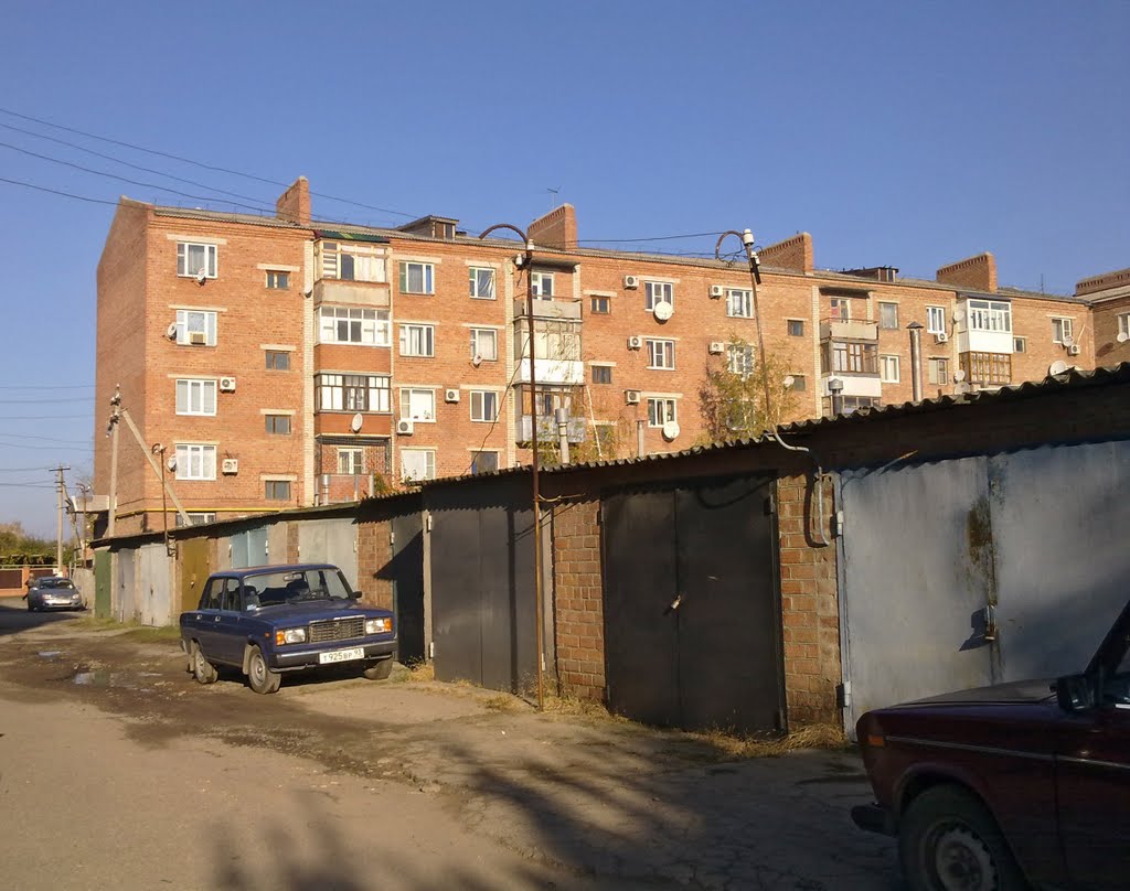 Во дворе дома 44 по улице Вокзальной (25.10.2010)