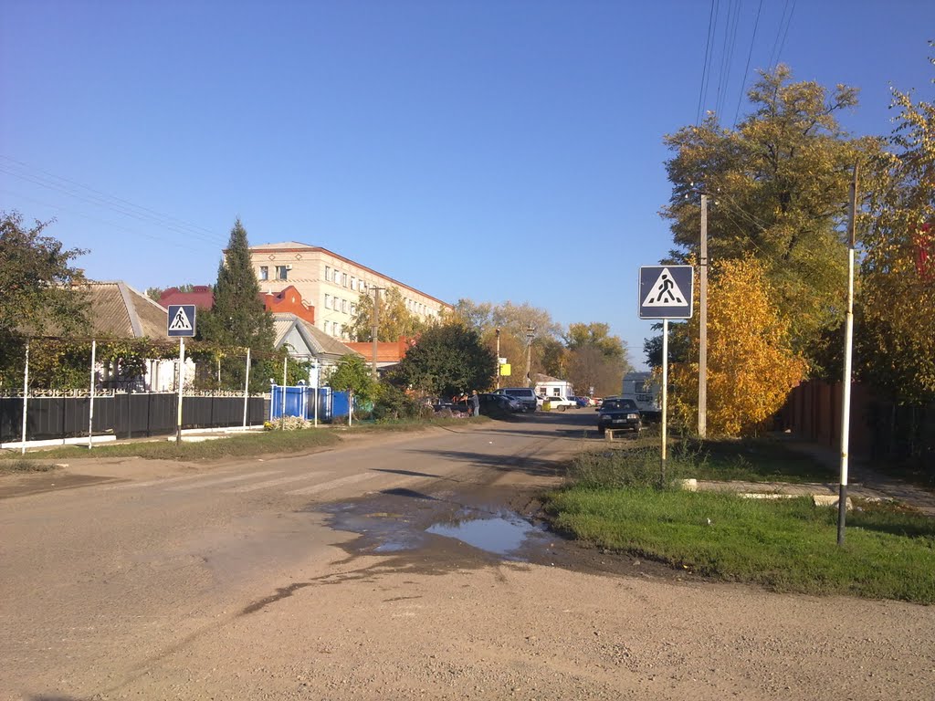 Улица Больничная, вид на поликлинику (25.10.2010)