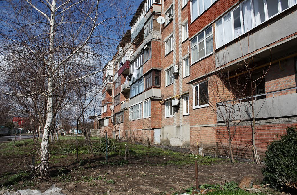 Каневская. Дом по ул. Свердликова. 2011.04.10