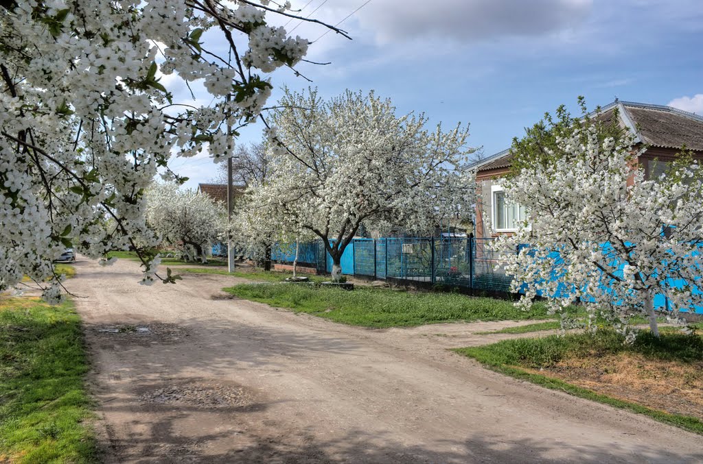 Улица Степная в Каневской. Весна. 2011.05.02