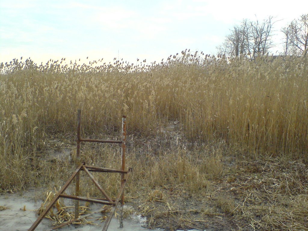 Near Chelbass river, to south