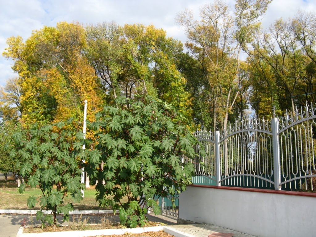 Осень в Кореновске