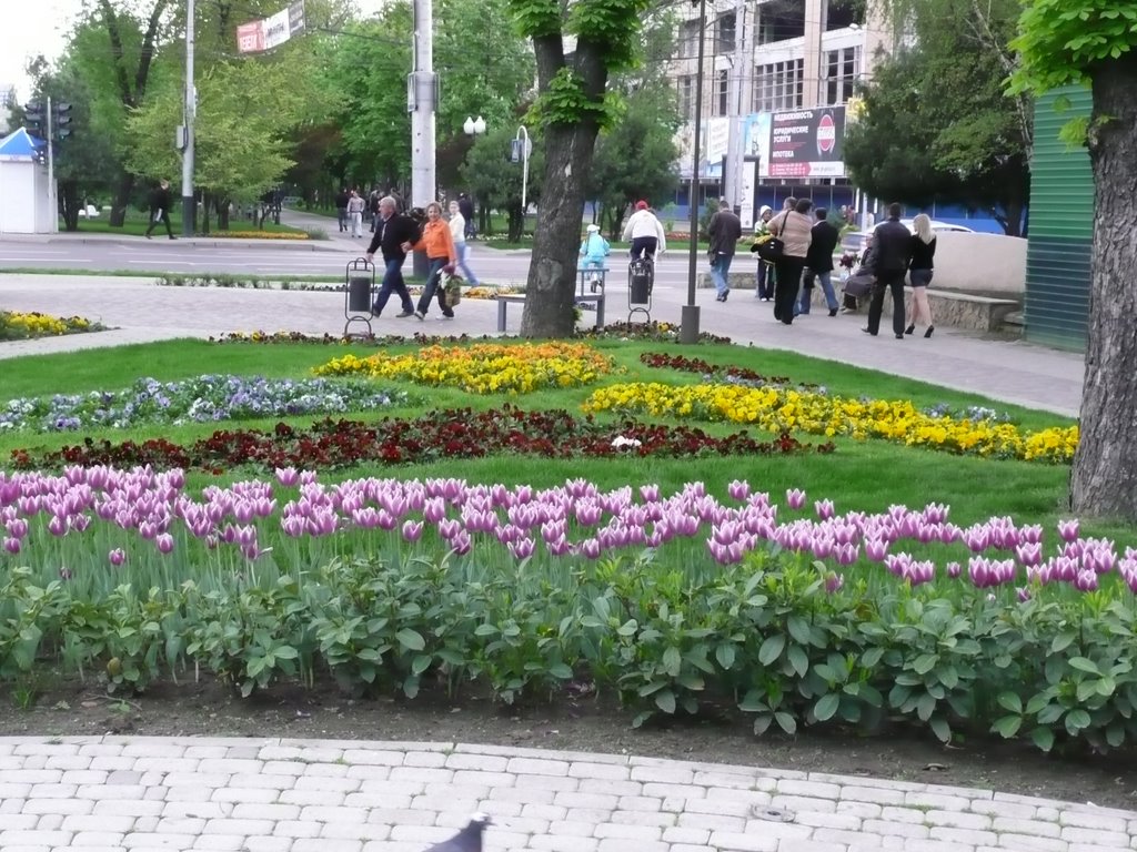 угол улиц Красная и Северная